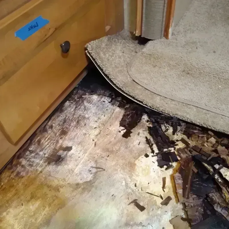 Wood Floor Water Damage in City of Falls Church, VA